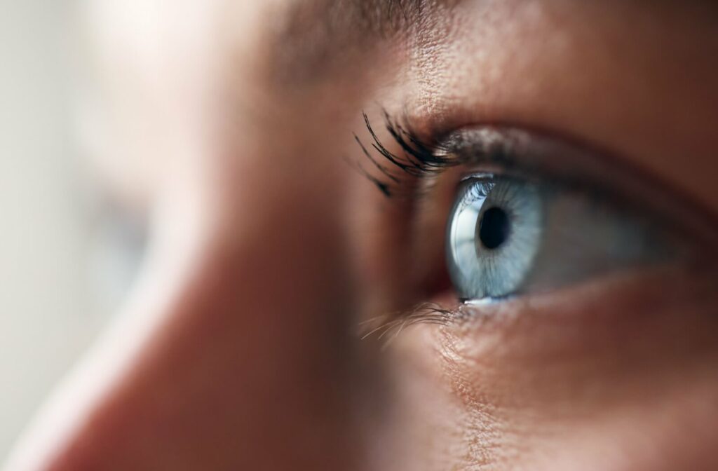Close-up of a healthy blue eye, representing how Syntonic phototherapy helps restore balance to the visual system
